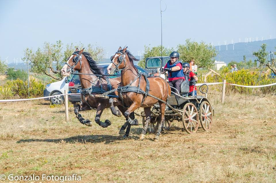 David Aramendía y Carmen Goiburu, Campeones Navarros de Enganches Completo en Troncos y Limoneras